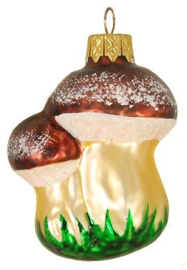 Porcini mushrooms form